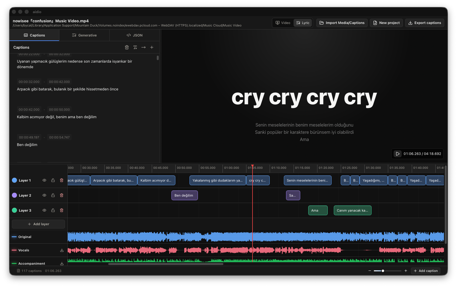 Aidio lyric view showing subtitle lines in a dark editor workspace.